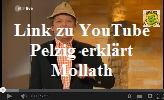 Pelzig Mollath